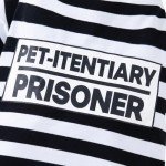 Prisoner Costume for Dogs and Cats - Halloween Fun