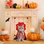 Halloween Dog Costume by XOYTN