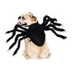 Spider Costume for Small to Medium Pets