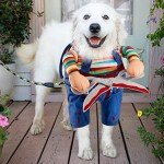 Funny Halloween Dog Costume for Cats and Dogs
