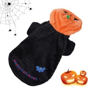 Dog Halloween Costume: Pumpkin & Bat Hoodie