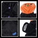 Dog Halloween Costume: Pumpkin & Bat Hoodie