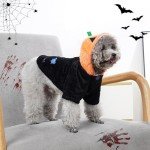 Dog Halloween Costume: Pumpkin & Bat Hoodie