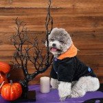 Dog Halloween Costume: Pumpkin & Bat Hoodie