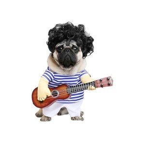 NACOCO Dog Guitar Costume for Fun Parties