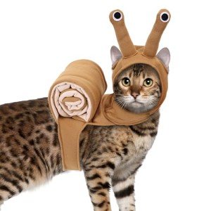 Cute Adjustable Pet Snail Costume for Cosplay