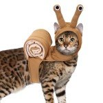 Cute Adjustable Pet Snail Costume for Cosplay