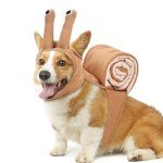 Cute Adjustable Pet Snail Costume for Cosplay