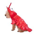 Mogoko Pet Lobster Costume for Dogs and Cats