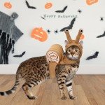 Cute Adjustable Pet Snail Costume for Cosplay