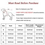 Mogoko Pet Lobster Costume for Dogs and Cats