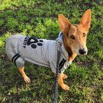 Dolahovy Pet Hoodie for Small Dogs and Cats