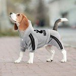 Dolahovy Pet Hoodie for Small Dogs and Cats