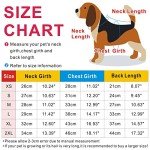 Soft Fleece Hoodie for Small Dogs and Cats