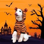 Tiger Costume for Large Dogs - Cute Hoodie