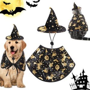 Halloween Witch Costume Set for Pets - Adjustable