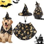 Halloween Witch Costume Set for Pets - Adjustable