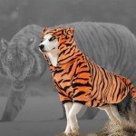 Tiger Costume for Large Dogs - Cute Hoodie