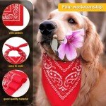 Cowboy Costume for Dogs - Halloween Outfit, Size L