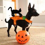 Funny Cowboy Halloween Costume for Dogs and Cats