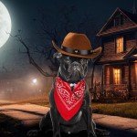 Cowboy Costume for Dogs - Halloween Outfit, Size L