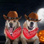 Cowboy Costume for Dogs - Halloween Outfit, Size L