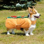 Funny Hot Dog Costume for Small & Medium Dogs