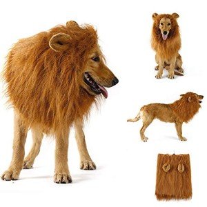 Adjustable Pet Lion Mane Costume for Dogs & Cats