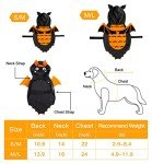 Bat Costume for Dogs - Halloween Outfit