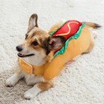 Funny Hot Dog Costume for Small & Medium Dogs
