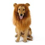 Adjustable Pet Lion Mane Costume for Dogs & Cats