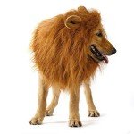 Adjustable Pet Lion Mane Costume for Dogs & Cats