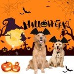Halloween Bat Wing Headband for Dogs