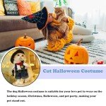 Halloween Cowboy Costume for Cats and Dogs