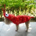 Lobster Costume for Small Dogs - Halloween Hoodie