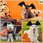 Halloween Bat Wing Headband for Dogs