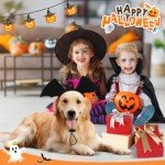 Halloween Bat Wing Headband for Dogs