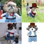 Halloween Cowboy Costume for Cats and Dogs