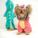 Dinosaur Dog Hoodie Costume for Small Medium Pets