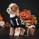 Bat Wings Halloween Costume for Pets