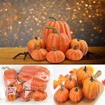Set of 7 Artificial Pumpkins for Fall Decor