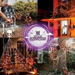 Giant Halloween Spider Webs and Colorful Spider Decor