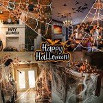 Giant Halloween Spider Webs and Colorful Spider Decor