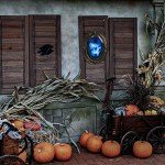 Halloween Magic Mirror with Sound and Motion