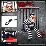 DIYDEC Hanging Halloween Decorations for Indoor & Outdoor