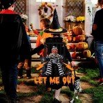 DIYDEC Hanging Halloween Decorations for Indoor & Outdoor