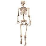 Life-Size Poseable Skeleton Halloween Party Decor