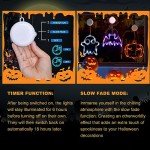 Halloween Window Lights: Pumpkins, Ghosts & Bats