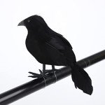 3 Realistic Black Crow Decorations for Halloween