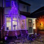 Eambrite Halloween Giant Black Spider Web Lights